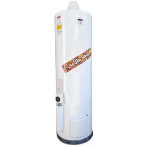 آبگرمکن گازی شعله طلایی مدل 2265