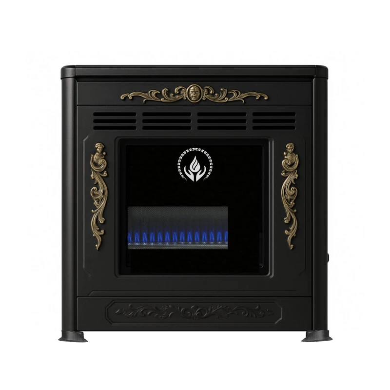 بخاری گازی جنرال دلون طرح زمینی رویال